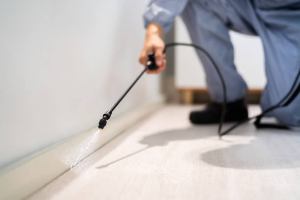 Licensed Termite Control service in Steele County County, ND - Nex Pest Control