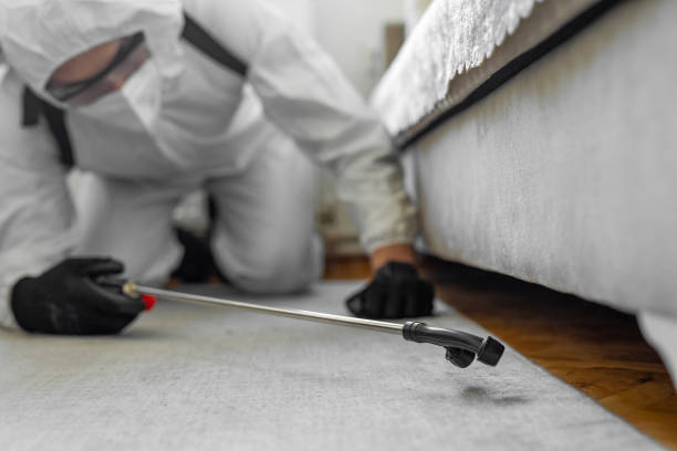 Professional Termite Control technician working in Steele County County, ND